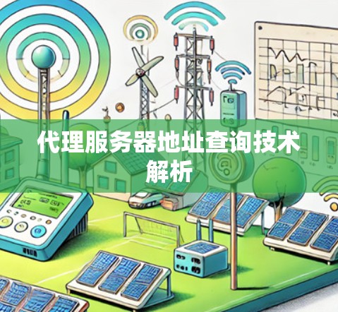 代理服务器地址查询技术解析