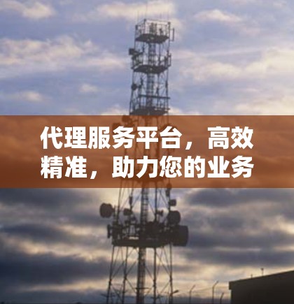 代理服务平台，高效精准，助力您的业务赢在前