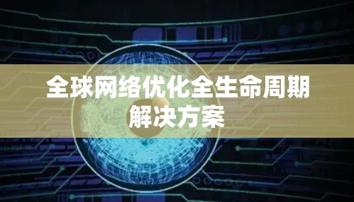 全球网络优化全生命周期解决方案