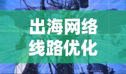 出海网络线路优化，实现 seamless 的出口与高效的产品