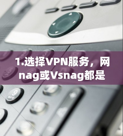 1.选择VPN服务，网nag或Vsnag都是适合的选项，网nag提供了高级的安全协议和中文界面