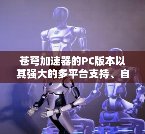 苍穹加速器的PC版本以其强大的多平台支持、自动加载功能以及高分辨率显示而闻名。以下是对苍穹加速器PC版本的详细说明