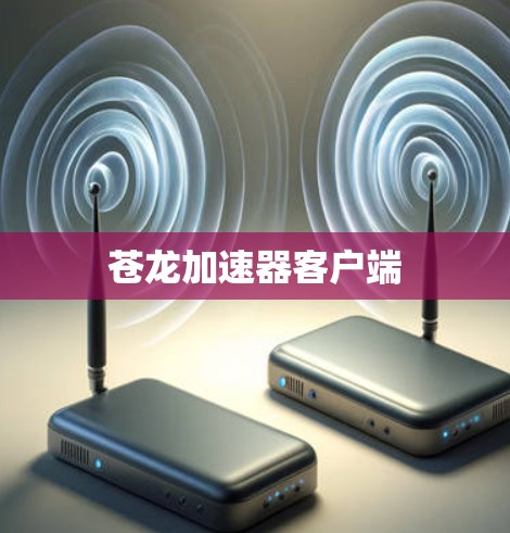 苍龙加速器客户端