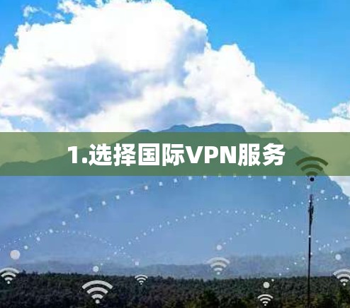 1.选择国际VPN服务 1.选择国际VPN服务