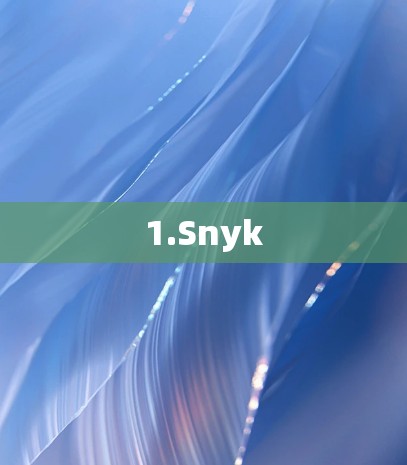 1.Snyk 1.Snyk
