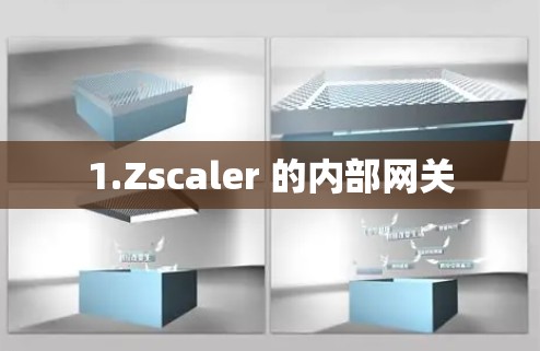 1.Zscaler 的内部网关 1.Zscaler 的内部网关