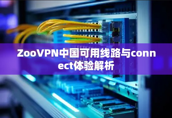 ZooVPN中国可用线路与connect体验解析