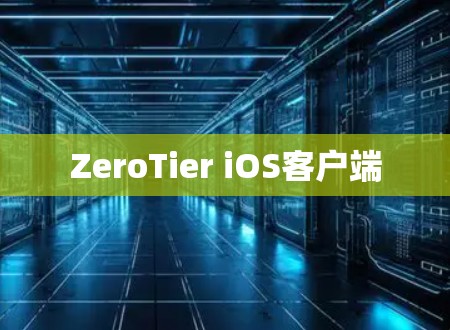 ZeroTier iOS客户端