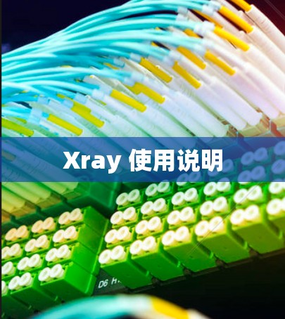 Xray 使用说明 Xray 使用说明