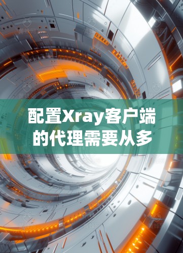 配置Xray客户端的代理需要从多个方面进行，以下是详细的配置步骤