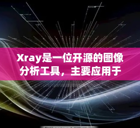 Xray是一位开源的图像分析工具，主要应用于医学、安全等领域。它允许用户通过客户端或服务器端进行图像分析和处理。以下是一些使用Xray客户端的常见步骤