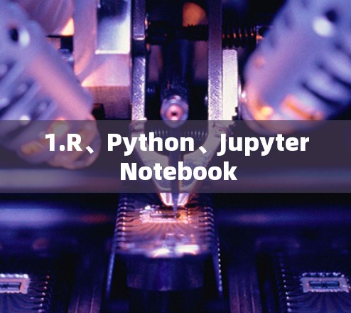 1.R、Python、Jupyter Notebook 1.R、Python、Jupyter Notebook
