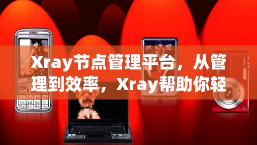 Xray节点管理平台,从管理到效率,Xray帮助你轻松管理节点 Xray节点管理平台,从管理到效率,Xray帮助你轻松管理节点