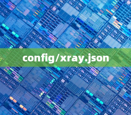 config/xray.json