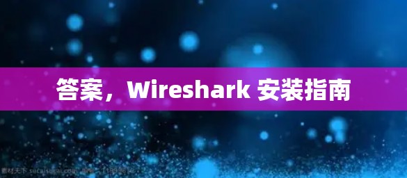 答案，Wireshark 安装指南