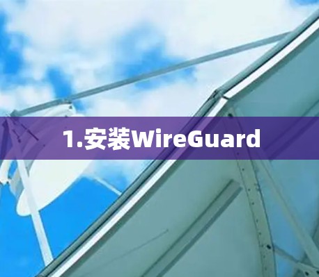 1.安装WireGuard