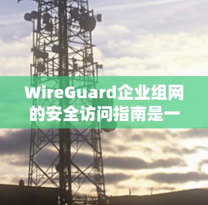 WireGuard企业组网的安全访问指南是一个复杂的系统,需要从多个角度进行设计和管理。以下是关于WireGuard企业组网安全访问的指南,涵盖权限管理、访问控制策略、审计记录以及安全策略等方面 WireGuard企业组网的安全访问指南是一个复杂的系统,需要从多个角度进行设计和管理。以下是关于WireGuard企业组网安全访问的指南,涵盖权限管理、访问控制策略、审计记录以及安全策略等方面