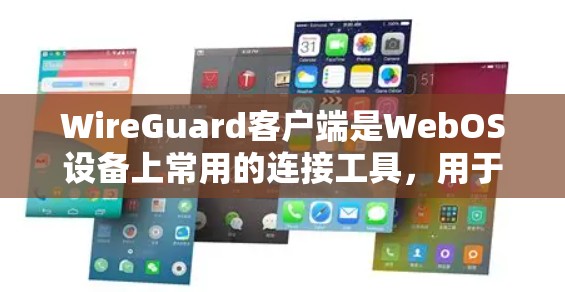 WireGuard客户端是WebOS设备上常用的连接工具，用于管理与设备之间的网络连接。以下是详细的连接管理流程