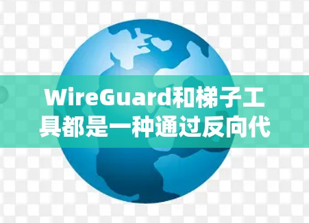 WireGuard和<strong>梯子</strong>工具都是一种通过反向代理或绕过网站或文件限制的方式来访问外部网站的技术。以下是它们的主要特点和区别