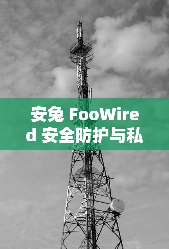 安兔 FooWired 安全防护与私密连接，手机使用之选