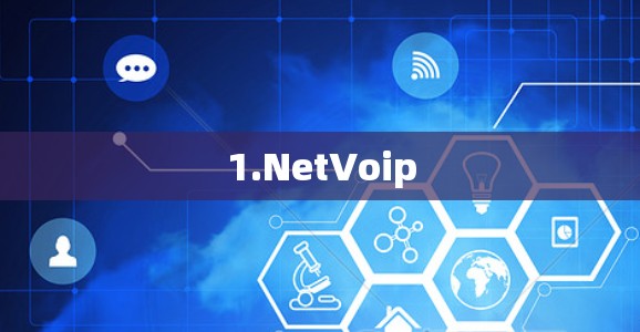 1.NetVoip 1.NetVoip