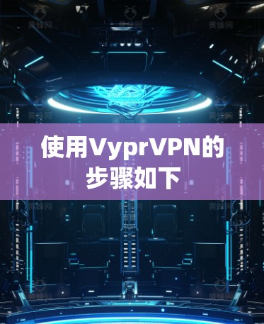 使用VyprVPN的步骤如下