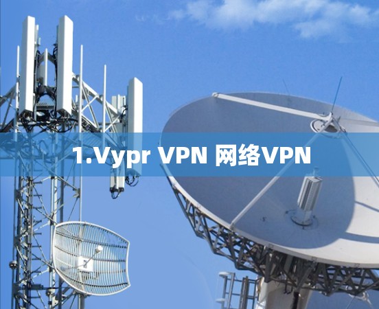 1.Vypr VPN 网络VPN 1.Vypr VPN 网络VPN