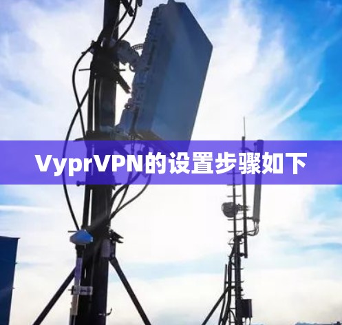 VyprVPN的设置步骤如下 VyprVPN的设置步骤如下