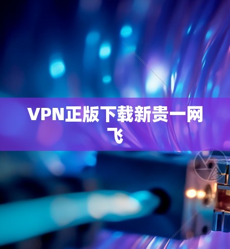 VPN正版下载新贵一网飞 VPN正版下载新贵一网飞