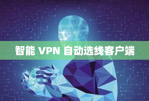智能 VPN 自动选线客户端 智能 VPN 自动选线客户端