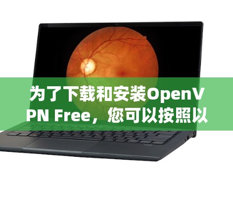 为了下载和安装OpenVPN Free，您可以按照以下步骤进行