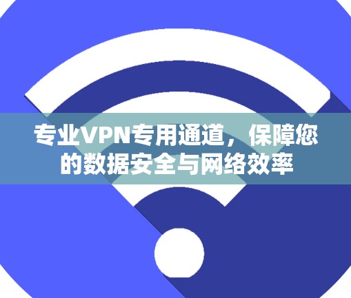 专业VPN专用通道,保障您的数据安全与网络效率 专业VPN专用通道,保障您的数据安全与网络效率