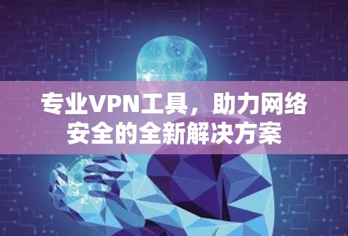 专业VPN工具,助力网络安全的全新解决方案 专业VPN工具,助力网络安全的全新解决方案