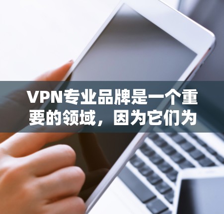 VPN专业品牌是一个重要的领域，因为它们为用户提供安全、可靠的网络连接。以下是几个知名的VPN专业品牌