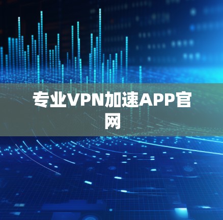 专业VPN加速APP官网