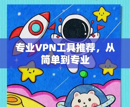 专业VPN工具推荐，从简单到专业