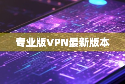 专业版VPN最新版本