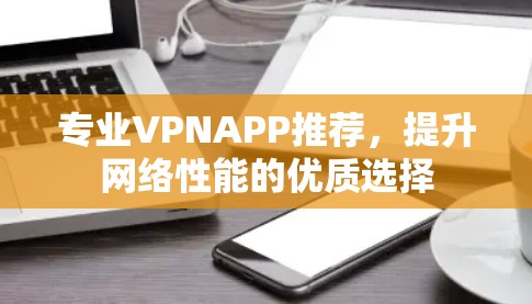 专业VPNAPP推荐，提升网络性能的优质选择