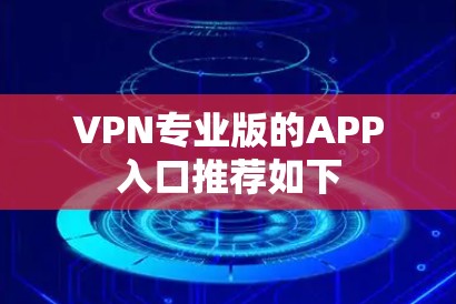VPN专业版的APP入口推荐如下