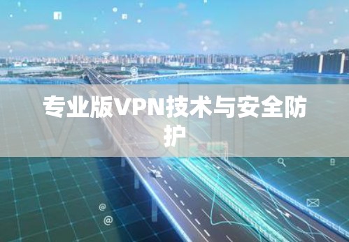 专业版VPN技术与安全防护