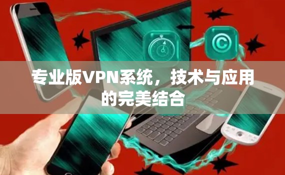 专业版VPN系统,技术与应用的完美结合 专业版VPN系统,技术与应用的完美结合
