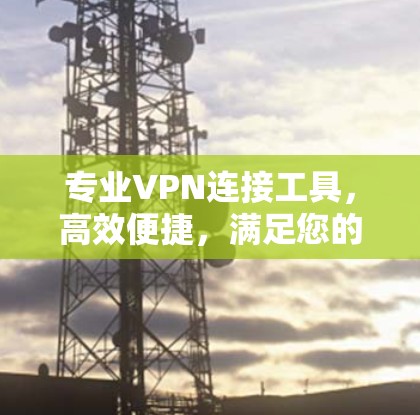专业VPN连接工具，高效便捷，满足您的网络需求
