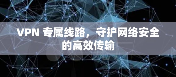 VPN 专属线路,守护网络安全的高效传输 VPN 专属线路,守护网络安全的高效传输