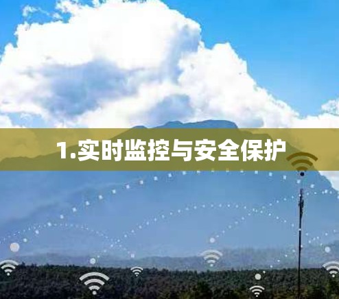 1.实时监控与安全保护 1.实时监控与安全保护
