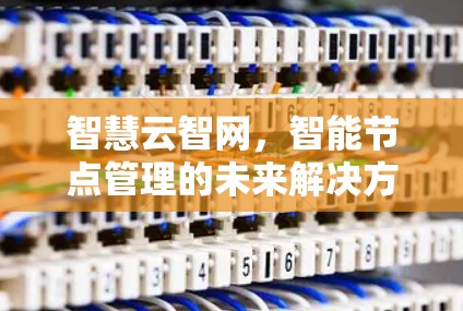 智慧云智网,智能节点管理的未来解决方案 智慧云智网,智能节点管理的未来解决方案