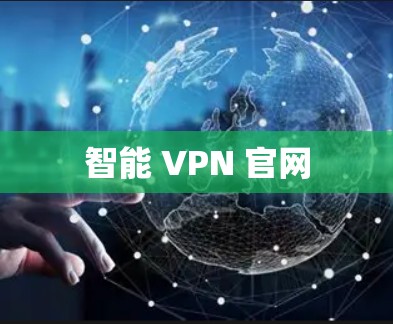 智能 VPN 官网 智能 VPN 官网
