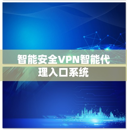 智能安全VPN智能代理入口系统 智能安全VPN智能代理入口系统