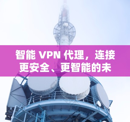 智能 VPN 代理，连接更安全、更智能的未来