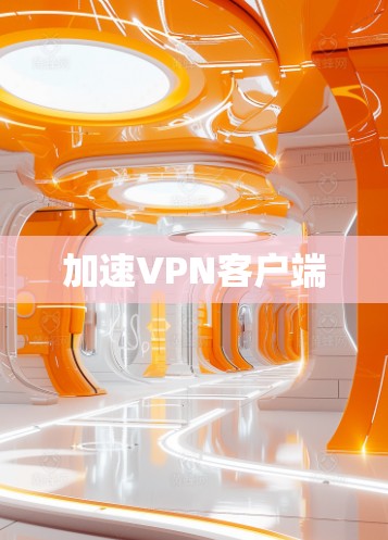 加速VPN客户端 加速VPN客户端