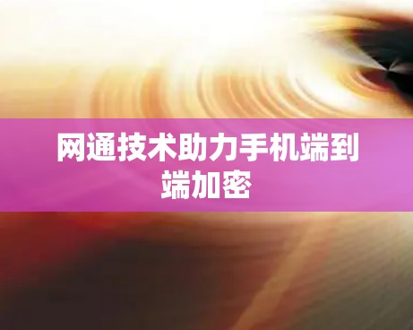 网通技术助力手机端到端加密 网通技术助力手机端到端加密